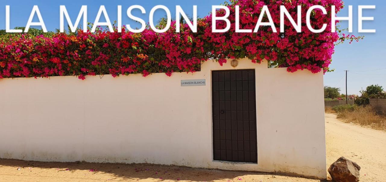 La Maison Blanche à Ngaparou, splendide villa contemporaine Extérieur photo