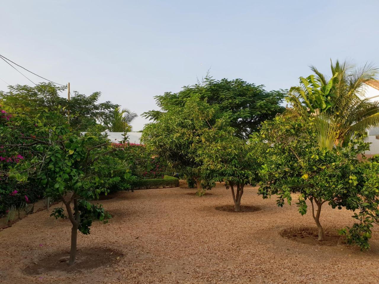 La Maison Blanche à Ngaparou, splendide villa contemporaine Extérieur photo